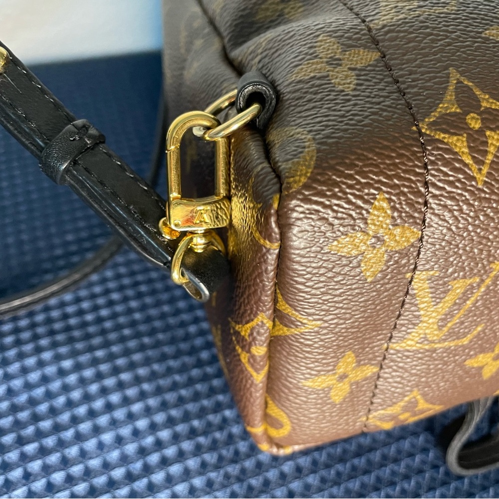 Louis Vuitton Palms Springs mini - Picture 9 of 15